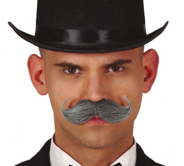 BIGODE GRISALHO